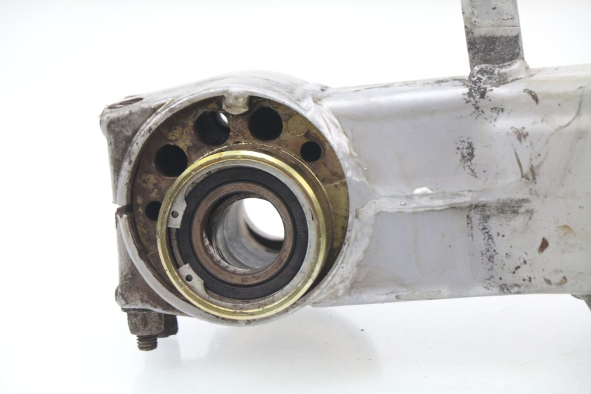 photo de BRAS OSCILLANT APRILIA RS AF-1 125 (1990 - 1993)