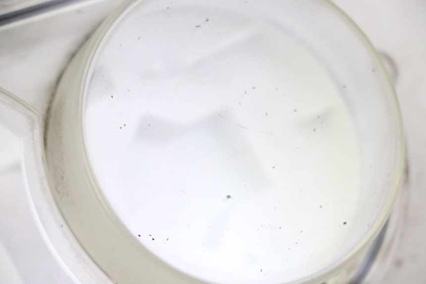 photo de CABOCHON COMPTEUR PEUGEOT SATELIS 250 (2006 - 2012)