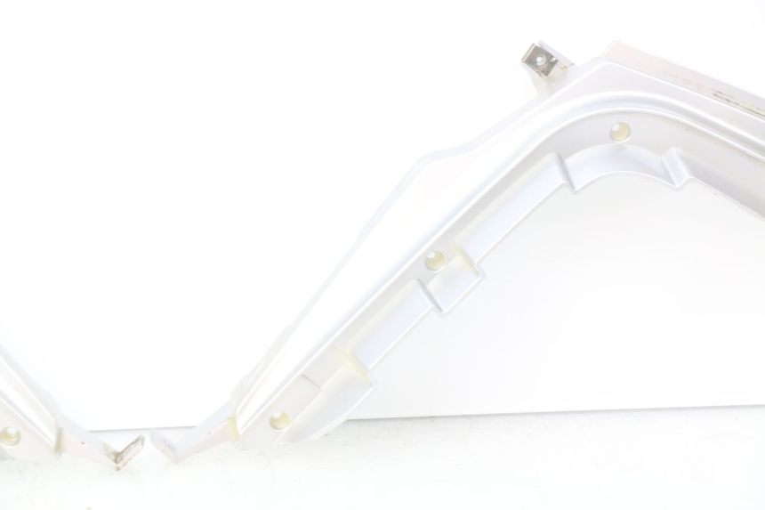 photo de CACHE CHASSIS LATERAL RIDE CLASSIC 2T 50 (2014 - 2022)