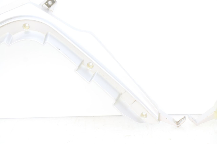 photo de CACHE CHASSIS LATERAL RIDE CLASSIC 2T 50 (2014 - 2022)