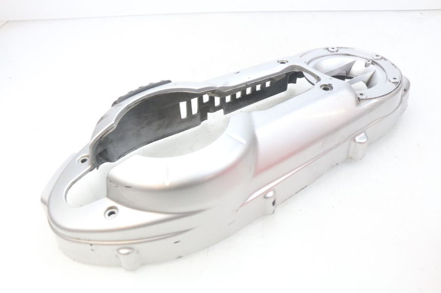 photo de CACHE MOTEUR PEUGEOT GEOPOLIS 400 (2007 - 2013)
