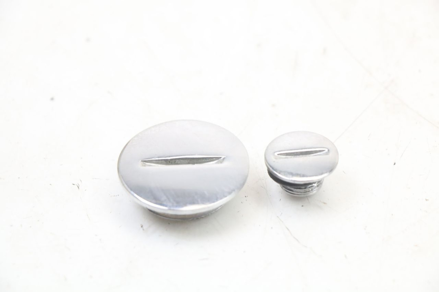 photo de CACHE MOTEUR REGAL RAPTOR RAXTER 2 125 (2007 - 2015)