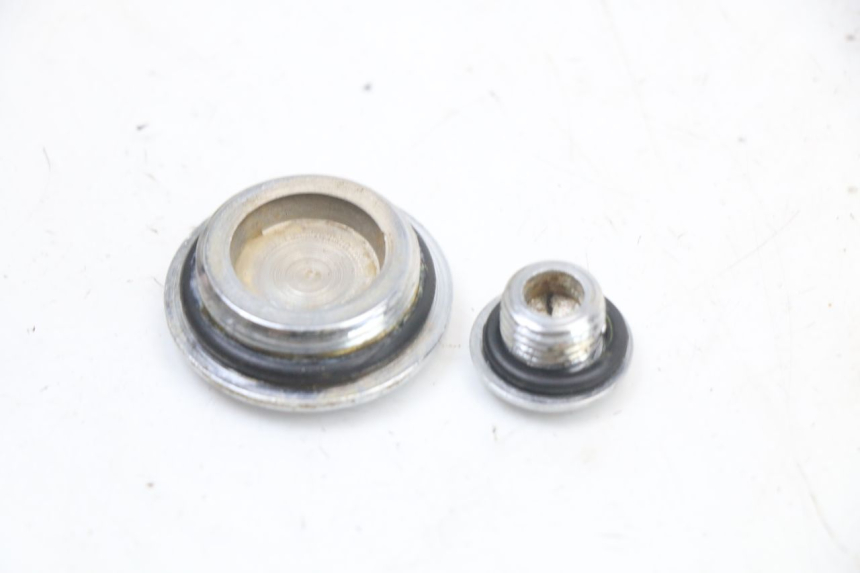 photo de CACHE MOTEUR REGAL RAPTOR RAXTER 2 125 (2007 - 2015)