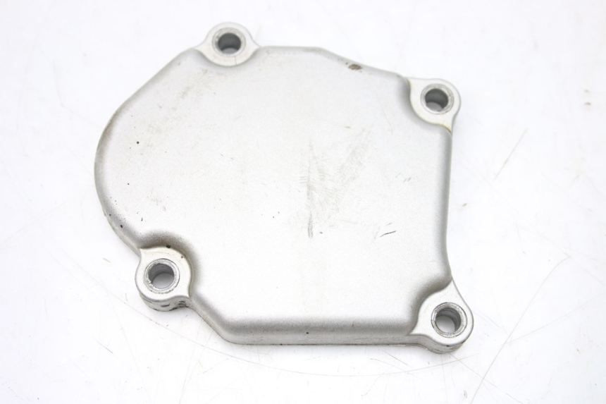photo de CACHE MOTEUR YAMAHA TDR DELTABOX 125 (1993 - 2003)