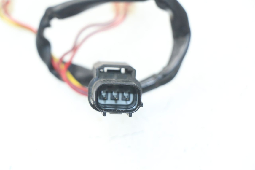 photo de CACHE NEIMAN HONDA NSS EX FORZA 250 (2008 - 2009)