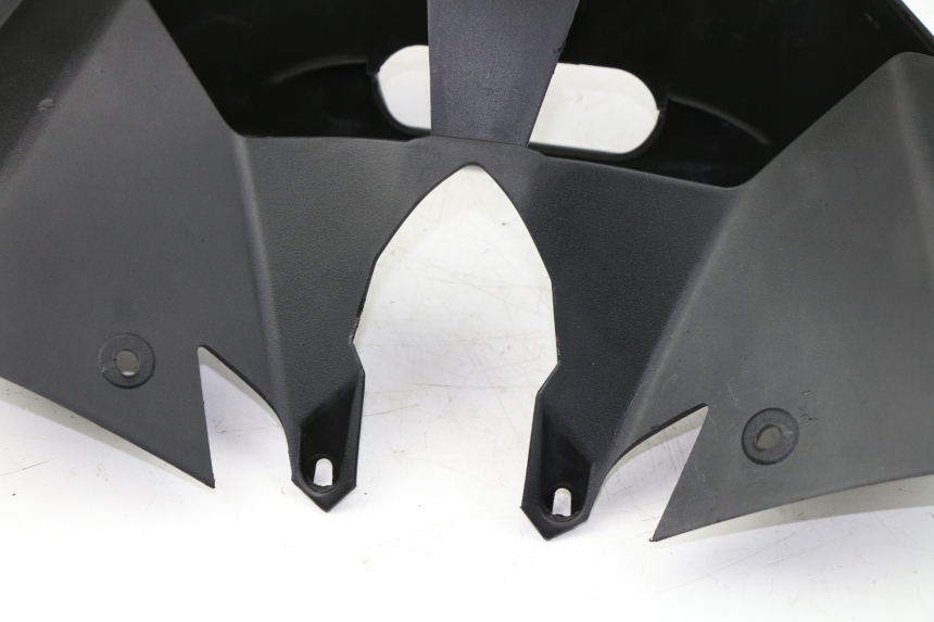 photo de CARENAGE ARRIERE BMW C GT 650 (2012 - 2015)