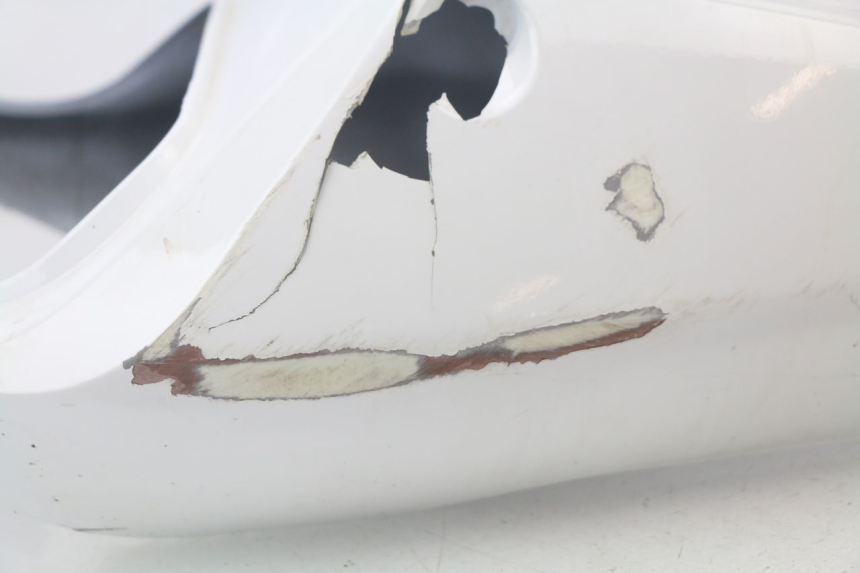 photo de CARENAGE ARRIERE HONDA CBR 929 RR FIREBLADE 900 (2000 - 2001)