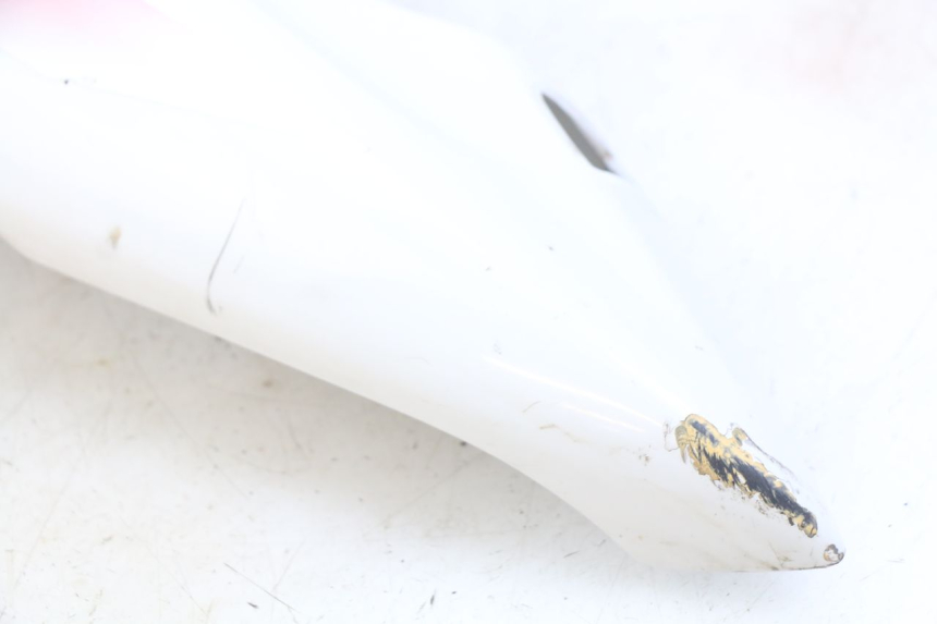 photo de CARENAGE ARRIERE YAMAHA YZF R THUNDERCAT 600 (1996 - 2003)
