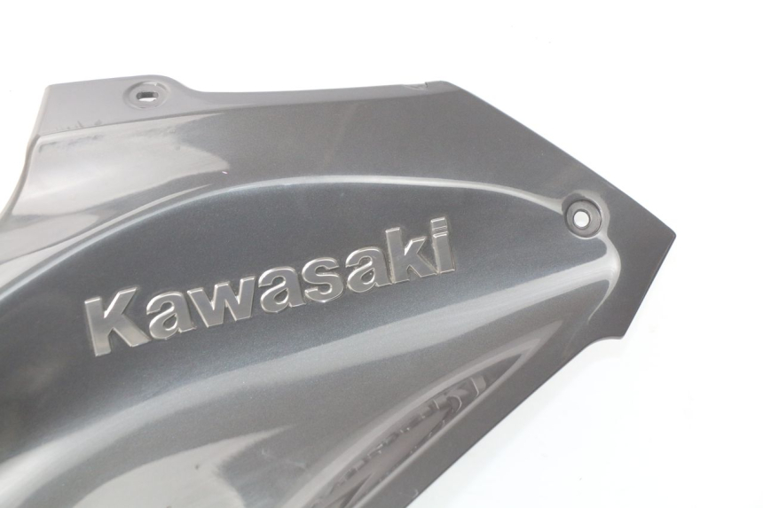 photo de CARENAGE RESERVOIR KAWASAKI Z Z900 900 (2017 - 2019)