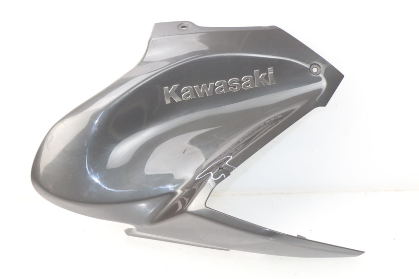 photo de CARENAGE RESERVOIR KAWASAKI Z Z900 900 (2017 - 2019)