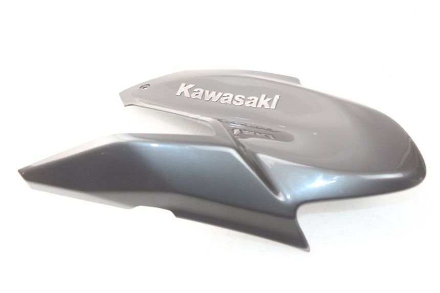 photo de CARENAGE RESERVOIR KAWASAKI Z Z900 900 (2017 - 2019)