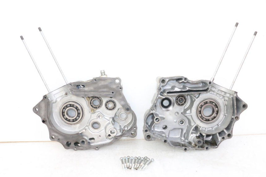 photo de Lower engine case DAELIM VL DAYSTAR 125 (2000 - 2011)