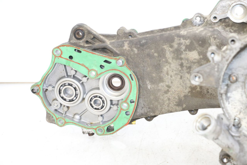 photo de Lower engine casing EUROCKA R8 4T 50 (2013 - 2022)