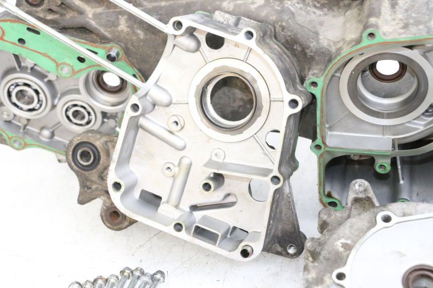 photo de Lower engine casing EUROCKA R8 4T 50 (2013 - 2022)