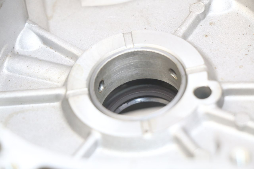 photo de CARTER MOTEUR GAUCHE APRILIA SCARABEO LIGHT 125 (2007 - 2011)