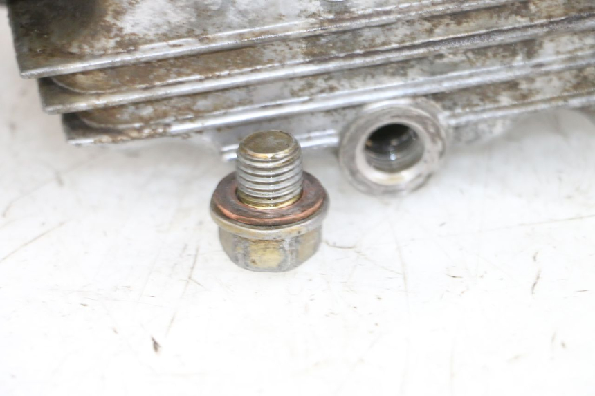 photo de CARTER MOTEUR GAUCHE YAMAHA TTR 125 (2000 - 2020) - Vue rapprochée