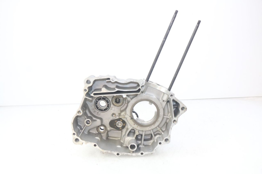 photo de CARTER MOTEUR GAUCHE XTRM FACTORY DIRTBIKE BSE 150