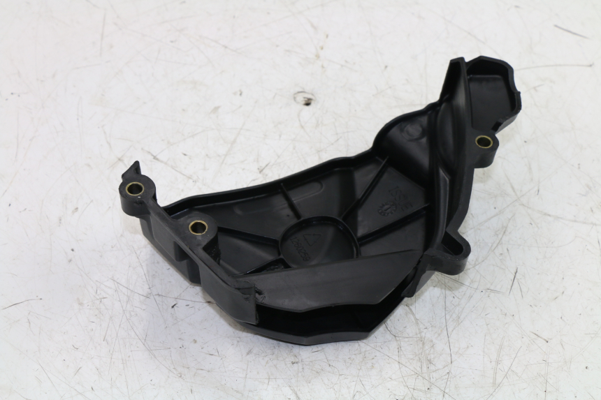 photo de CARTER PIGNON TRIUMPH STREET TRIPLE 675 (2007 - 2012)