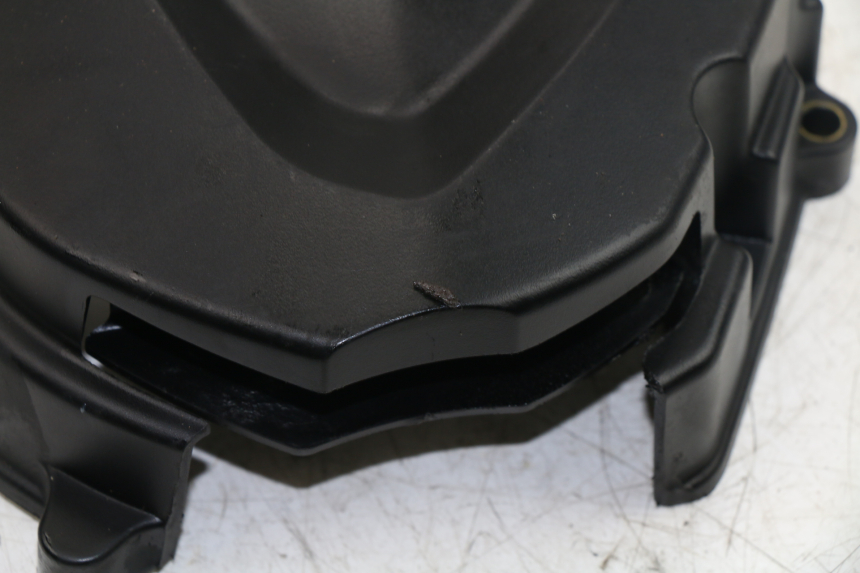 photo de CARTER PIGNON TRIUMPH STREET TRIPLE 675 (2007 - 2012)