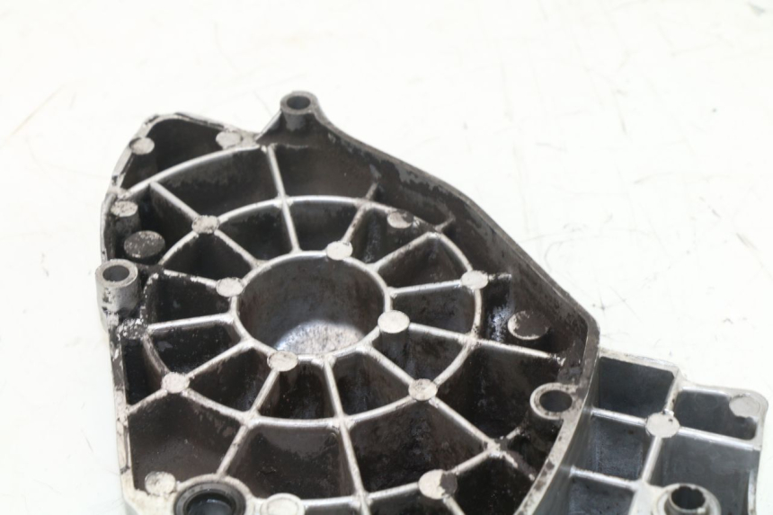 photo de CARTER PIGNON YAMAHA XJN DIVERSION 600 (2000 - 2003)