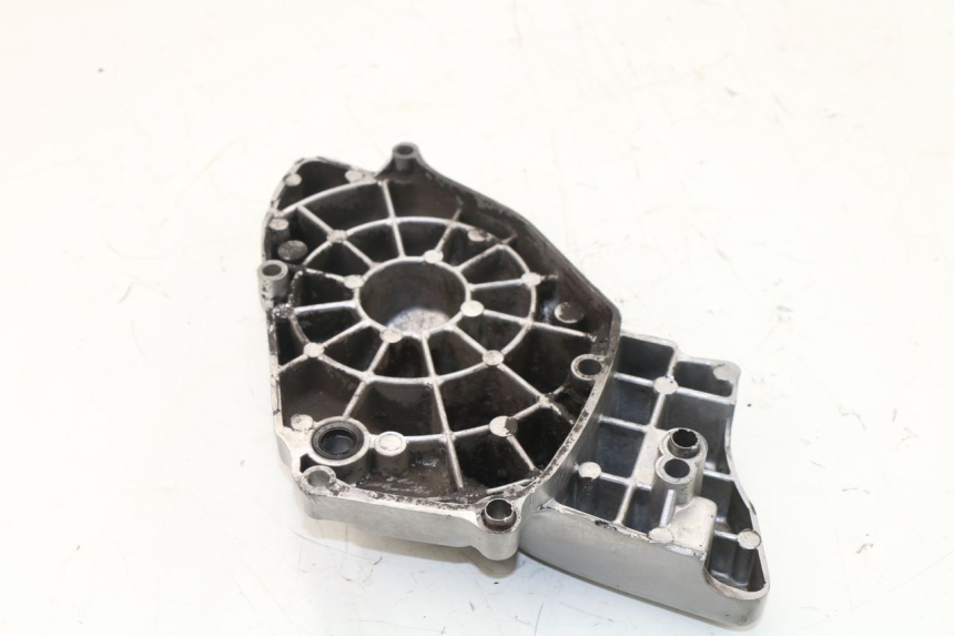 photo de CARTER PIGNON YAMAHA XJN DIVERSION 600 (2000 - 2003)