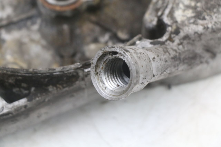 photo de CARTER STATOR PEUGEOT DJANGO 125 (2014 - 2017)