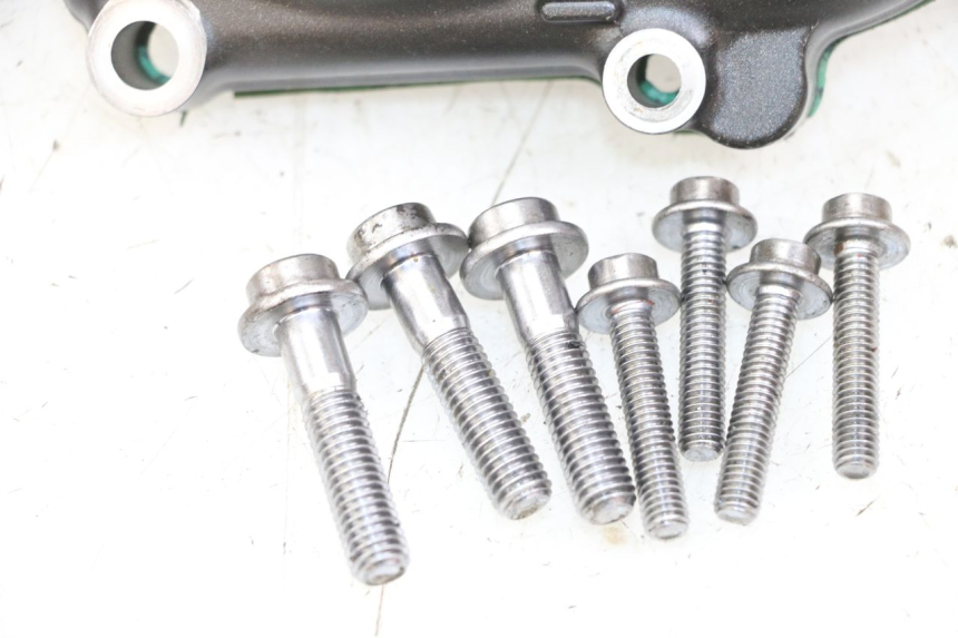 photo de CARTER STATOR YAMAHA FZ1 FAZER 1000 (2007 - 2009)