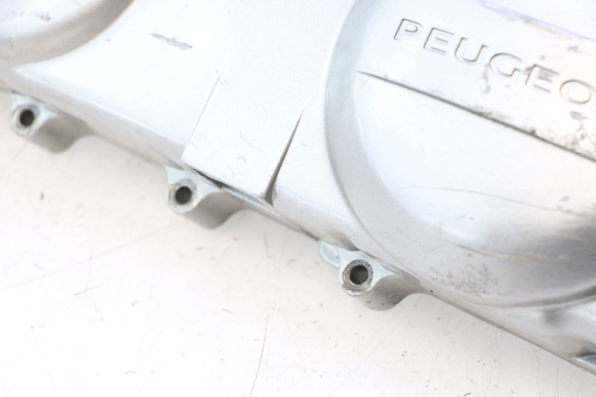 photo de CARTER VARIATEUR PEUGEOT KISBEE 4T 50 (2010 - 2017) - Marquages et références