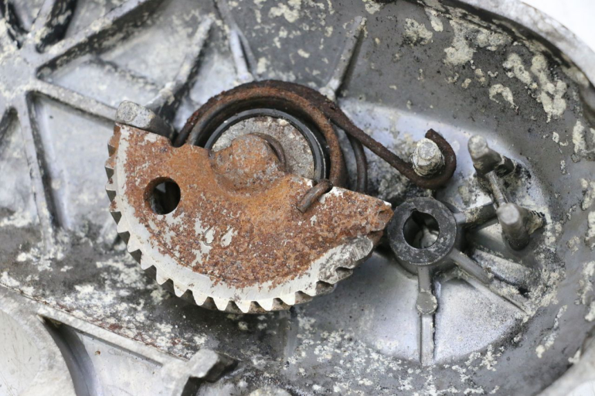 photo de CARTER VARIATEUR SYM ORBIT 2 50 (2008 - 2014) - Vue d’ensemble