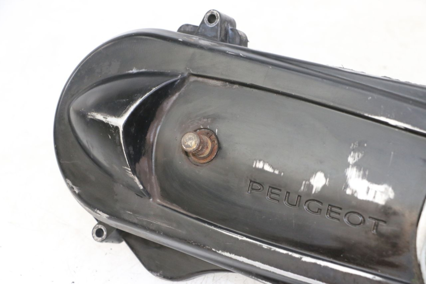photo de CARTER VARIATEUR PEUGEOT KISBEE 2T 50 (2010 - 2017)