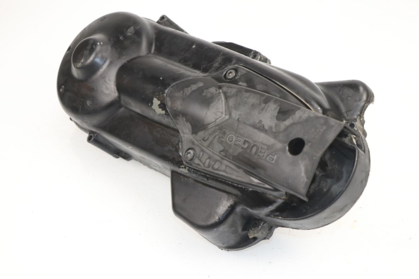 photo de CARTER VARIATEUR PEUGEOT SATELIS 125 (2006 - 2009)