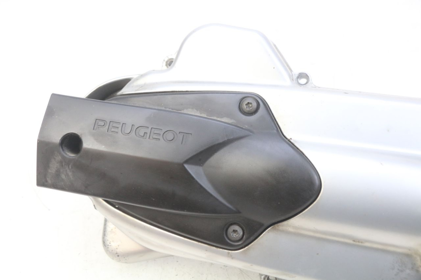 photo de CARTER VARIATEUR PEUGEOT SATELIS 125 (2006 - 2009)