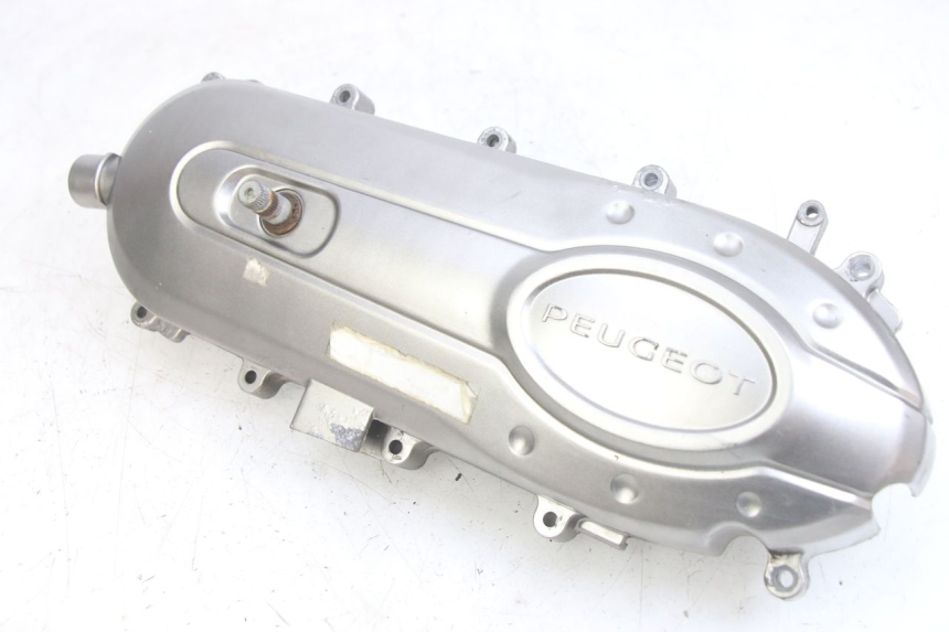 photo de CARTER VARIATEUR PEUGEOT TWEET 4T 50 (2014 - 2019)