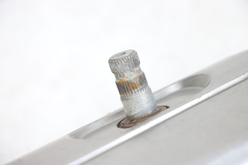 photo de CARTER VARIATEUR PEUGEOT TWEET 4T 50 (2014 - 2019)