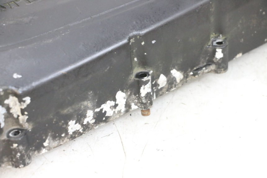 photo de CARTER VARIATEUR DAELIM S1 125 (2007 - 2016) - Vue d’ensemble