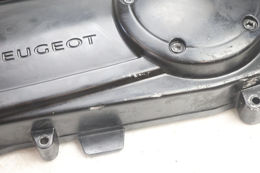 photo de CARTER VARIATEUR PEUGEOT STREETZONE NAKED 2T 50 (2014 - 2018) - Vue d’ensemble