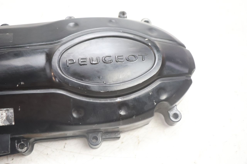 photo de CARTER VARIATEUR PEUGEOT TWEET 4T 50 (2018 - 2022) - Vue d’ensemble
