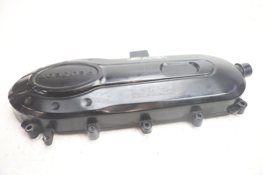 photo de CARTER VARIATEUR PEUGEOT TWEET 4T 50 (2018 - 2022) - État de surface