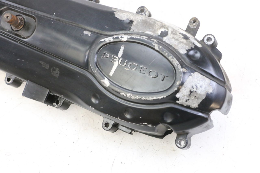 photo de CARTER VARIATEUR PEUGEOT TWEET PRO CARGO 50 (2018 - 2020)