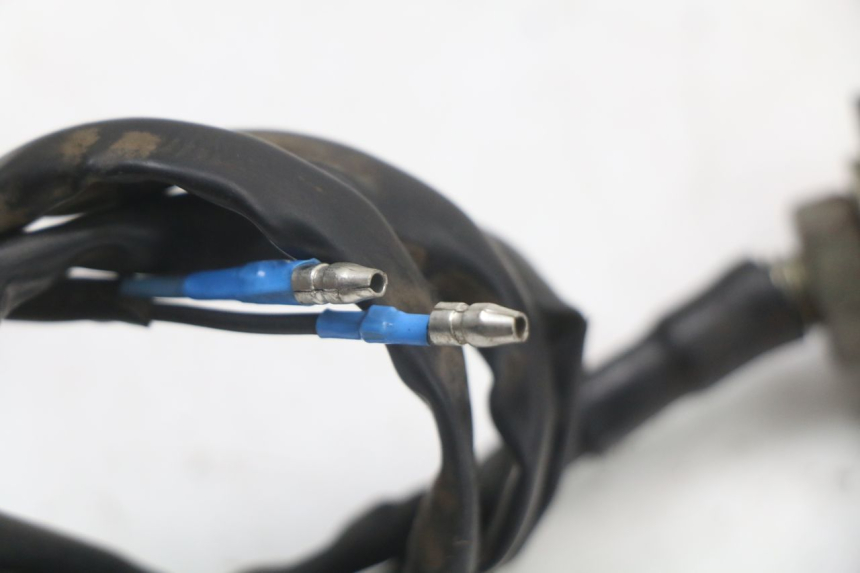 photo de Rear right turn signal JINLUN JL HIGHLANDER 125 (2007 - 2015)