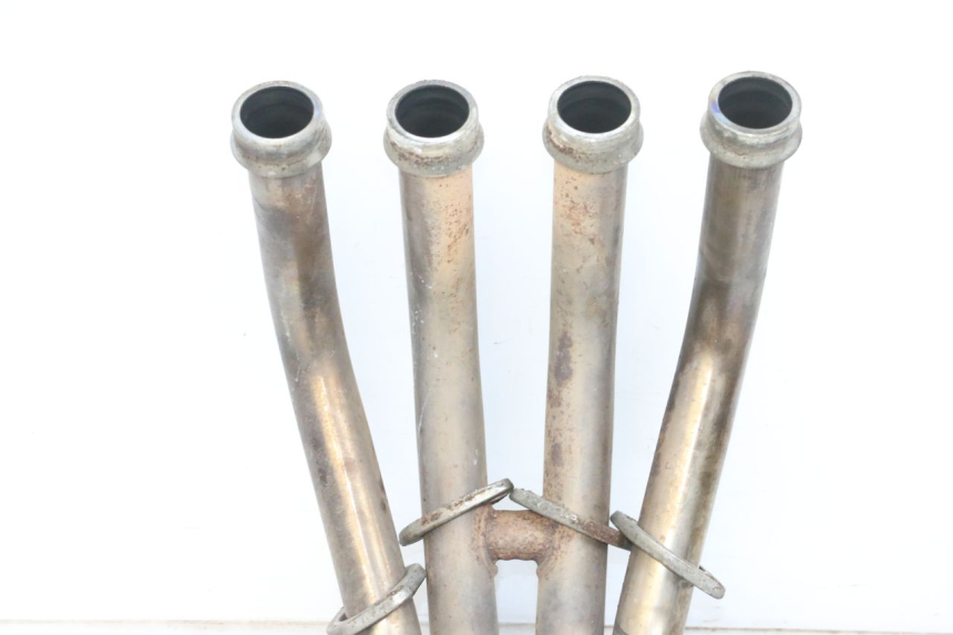 photo de COLLECTEUR YAMAHA FZ6 N FAZER 600 (2004 - 2006)