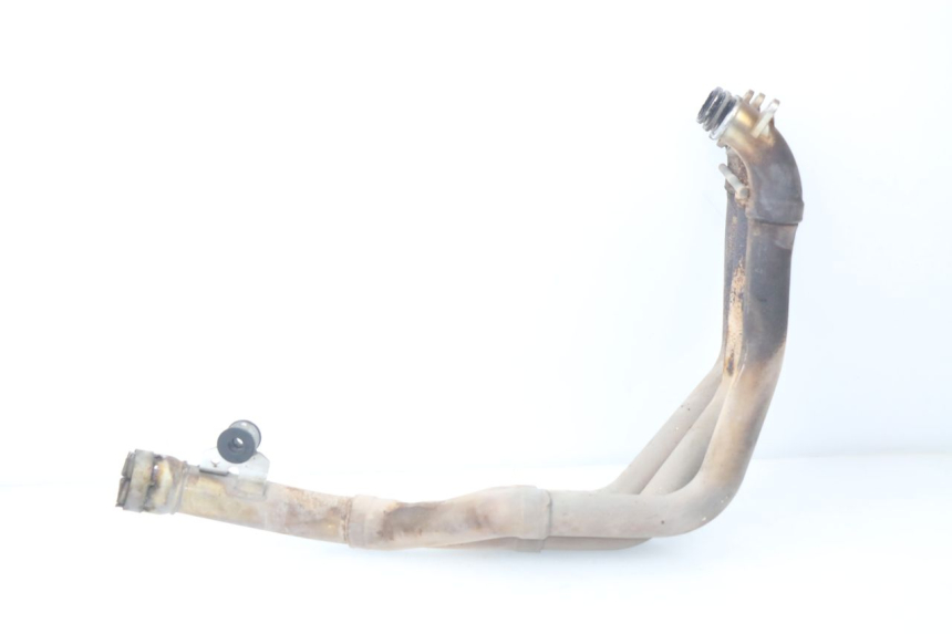 photo de COLLECTEUR TRIUMPH SPEED TRIPLE 1050 (2005 - 2007) - Gros plan technique