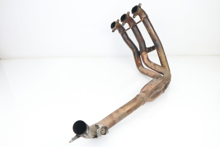 photo de COLLECTEUR TRIUMPH SPRINT RS 955 (2000 - 2001)