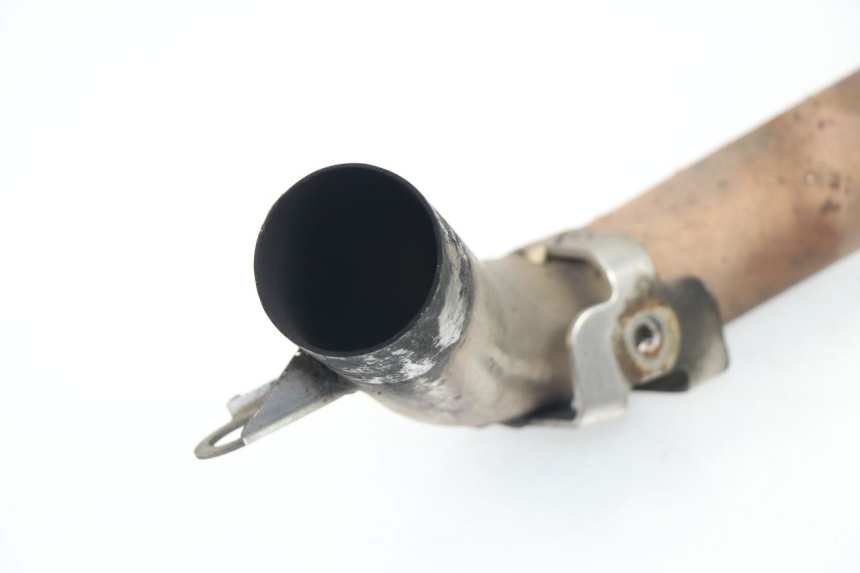 photo de COLLECTEUR TRIUMPH SPRINT RS 955 (2000 - 2001)