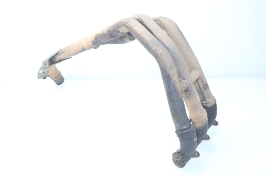 photo de COLLECTEUR TRIUMPH SPRINT ST ABS 1050 (2005 - 2007)