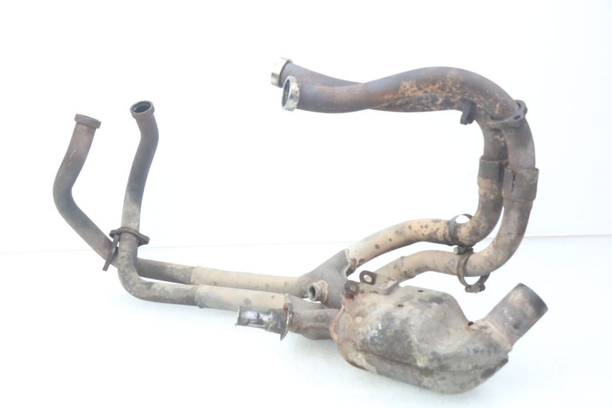 photo de COLLECTEUR HONDA VFR FI RC46 800 (1998 - 2001)