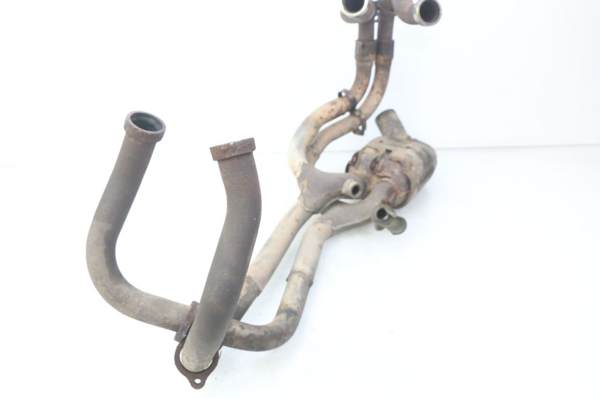 photo de COLLECTEUR HONDA VFR FI RC46 800 (1998 - 2001)