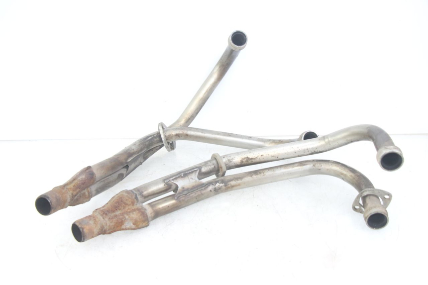 photo de COLLECTEUR YAMAHA XJN DIVERSION 600 (2000 - 2003)