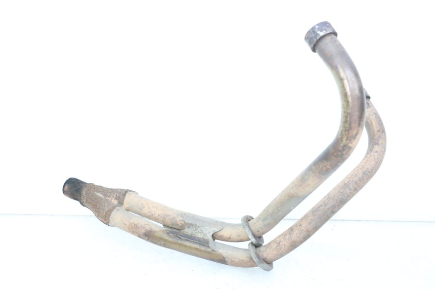 photo de COLLECTEUR YAMAHA XJN DIVERSION 600 (2000 - 2003)
