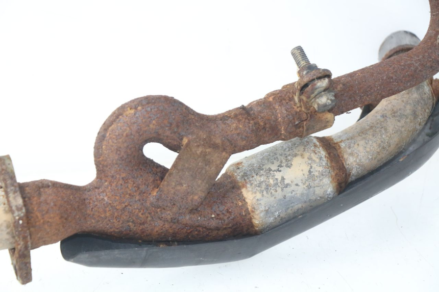 photo de COLLECTEUR HONDA XLV VARADERO 125 (2000 - 2006)